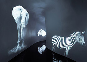 KTV生意不好，看完這七條你就找到原因了！